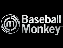 Baseball Monkey
